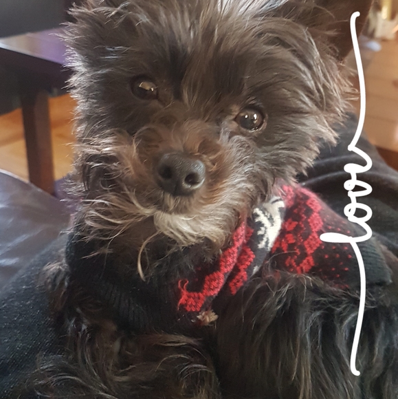 Meet your Posher, Wendy - Picture 1 of 1